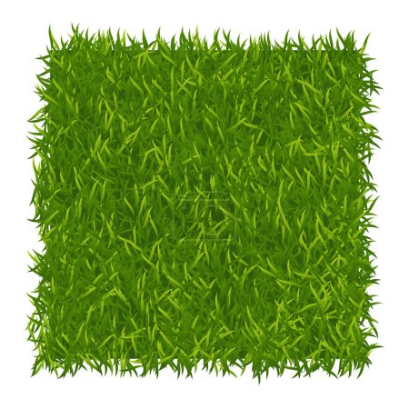 Ilustración de Green grass background. Lawn nature. Abstract field texture. Green grass texture. Vector illustration - Imagen libre de derechos
