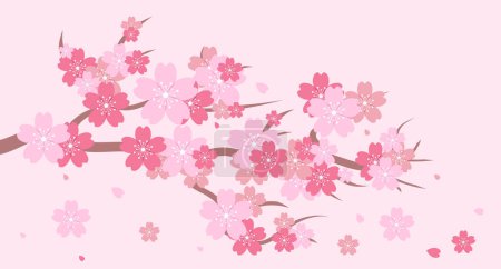 Téléchargez les illustrations : Branche de fleurs Sakura. Branche de fleurs de cerisier. Fleur de cerisier avec sakura rose. Fond de fleur de sakura rose. Pétales tombantes. Illustration vectorielle - en licence libre de droit