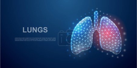 Illustration for Lungs 3d low poly symbol with pain center for landing page template. Lungs pain, respiratory system design concept. Polygonal organ illustration. Low poly symbol - Royalty Free Image