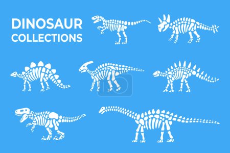 Dinosaur skeletons set. Triceratops, Tyrannosaurus, Kentrosaurus, Brahiosaurus, Velociraptor, Stegosaurus, Parasaurolophus. Dinosaurs bones. Paleontology and archeology. Dangerous ancient predator.