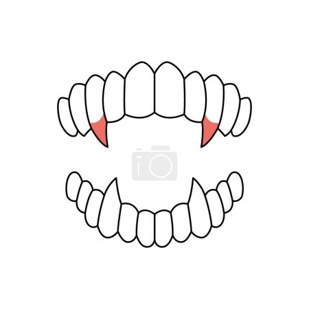 Vampire horror teeth. Vector illustration. Isolated on white background.