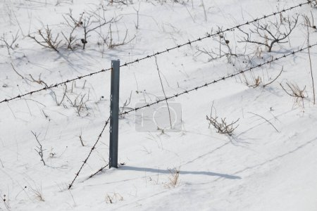 Foto de Cerca de alambre de púas roto en el campo de nieve - Imagen libre de derechos