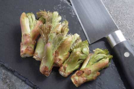 Téléchargez les photos : Rangée de pousses comestibles fraîches et fourragères d'angélique japonais à côté du couteau de cuisine - en image libre de droit