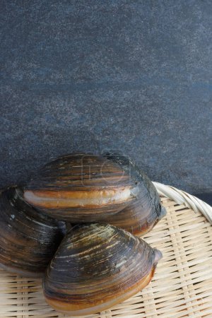 Pile of fresh Japanese surf clams on stone background