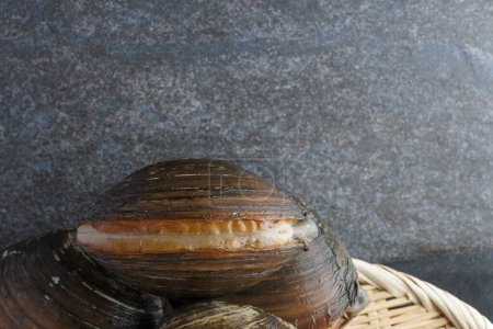 Fresh Japanese hokkigai surf clams on stone background