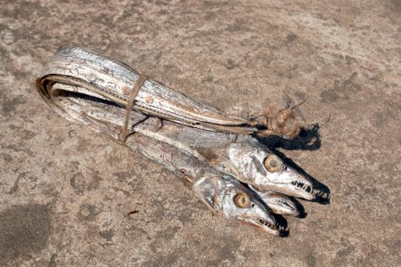 asian ribbon fish or hairtail on rugh background. Dried sea fish from bay of bangle. also called Churi Shutki. popular in chattogram, Bangladesh. looks like knife and it has shiny silver color.