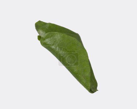 Hoja de betel dulce comestible verde aislada sobre el fondo blanco. La hoja fresca de betel es popular en el festival cultural del sudeste asiático. las especias son coco, cereza, comino, cilantro, bola dulce etc..