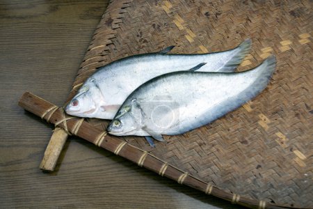 Foto de Foli fish, notopterus featherback fish on Bamboo tray. Espalda de bronce. estanque de peces, Phouli. - Imagen libre de derechos