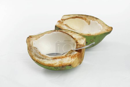 Young fresh coconut with white flesh. popular summer fruit.