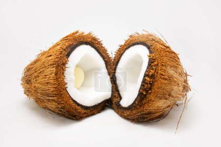 Eine Kokosnuss, die mit Kokos- oder Kokosfasern bedeckt ist und weißes Fleisch oder Kokosfleisch und Kokosembryo in Hälften geschnitten hat.