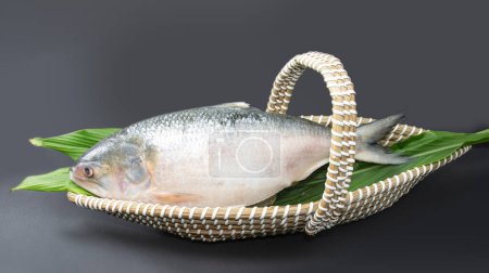 Ein ganzer Hilsha-Fisch in einem bootsförmigen, handgefertigten Korb, der in Bangladesch und Indien als Geschenkkorb bei festlichen Anlässen wie Jamai Shashthi, Pohela boishakh usw. verwendet wird. dekoriert mit Ökoprodukten.