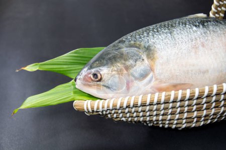 A Whole Hilsha fish in a boat-shaped handmade basket used as a gift hamper in festive occasions such as Jamai Shashthi, Pohela boishakh etc in Bangladesh and India. decorated with eco products.
