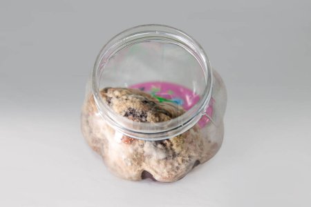 A can of spoiled slime. Fungus on slime. The used or outdated, expired slime is harmful for child health.