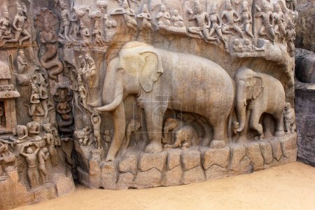 Téléchargez les photos : Sculptures d'éléphants à la pénitence d'Arjuna en Inde Mahabalipuram Sculpture d'éléphants sculptée en granite.Site du patrimoine mondial de l'UNESCO - en image libre de droit