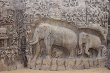 Téléchargez les photos : Pénitence d'Arjuna à Mamallapuram, site du patrimoine mondial de l'Unesco au Tamil Nadu, Inde du Sud, Asie - en image libre de droit