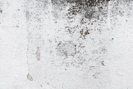 Foto de Cemento o concreto textura copia espacio - Imagen libre de derechos