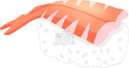 Illustration for Prawn sashimi ebi vector illustration on white background - Royalty Free Image