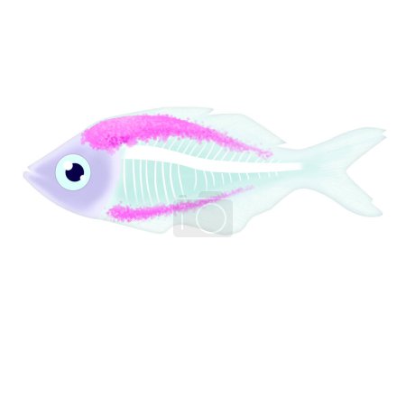 Ilustración de Ilustración rayos X tetra peces imagen aislada - Imagen libre de derechos