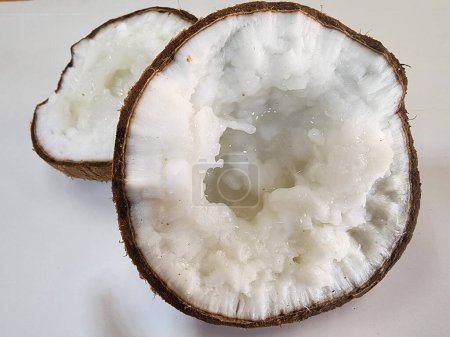 Téléchargez les photos : La noix de coco Kopyor est un croisement. Le pollen qui s'est envolé vers le haut du pistil de viande pelucheuse sans jus de noix de coco peut être mangé. - en image libre de droit