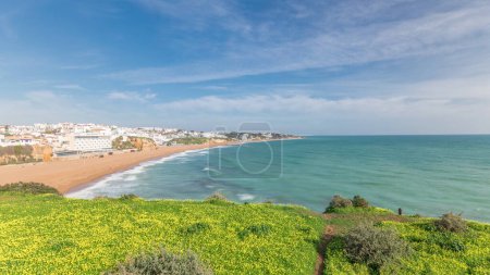 Panorama showing wide sandy beach and Atlantic ocean in city of Albufeira timelapse. White houses on the top of cliffs. Aerial view from above with yellow flowers on a green grass. Algarve, Portugal