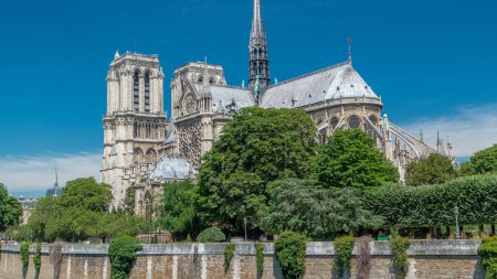 Téléchargez les photos : Timelapse arrière de Notre Dame de Paris. Un des symboles les plus célèbres de Paris. Vue depuis le pont de l'archevêché avec des arbres verts lors de la journée ensoleillée d'été - en image libre de droit