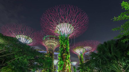 Téléchargez les photos : Vue futuriste de l'illumination étonnante à Garden by the Bay nuit timelapse hyperlapse à Singapour. Spectacle de lumière nocturne à Supertree Groveis est la principale attraction touristique du quartier de Marina Bay - en image libre de droit