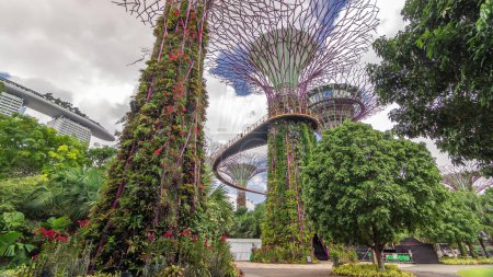Foto de Vista futurista de increíbles superárboles en Garden by the Bay hiperlapso timelapse en Singapur. Supertree Groveis es la principal atracción turística del distrito de Marina Bay. Nubes en un cielo azul - Imagen libre de derechos