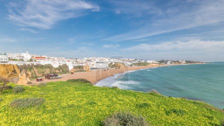 Panorama showing wide sandy beach and Atlantic ocean in city of Albufeira timelapse. White houses on the top of cliffs. Aerial view from above with yellow flowers on a green grass. Algarve, Portugal