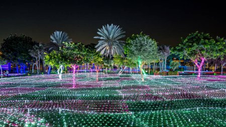 Foto de Hierba con palmeras. Dubai Glow Garden timelapse con árboles y esculturas iluminadas. Es una arquitectura de estado del arte con arquitectura amigable con el medio ambiente, creando varias estructuras - Imagen libre de derechos