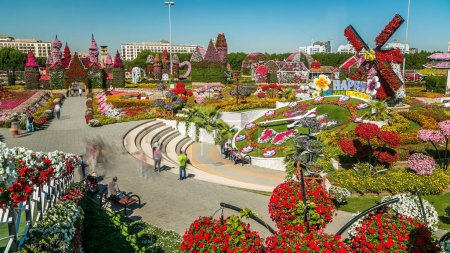 Top view of Dubai miracle garden timelapse with over 45 million flowers in a sunny day, United Arab Emirates. Big clock and houses are made from flowers