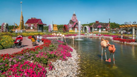 Lake with fountain and flamingo at Dubai miracle garden timelapse with over 45 million flowers in a sunny day, United Arab Emirates. House are made from flowers