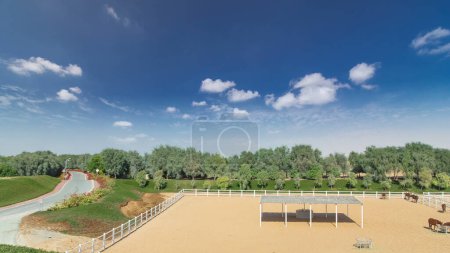 Téléchargez les photos : Arabian horse runs inside paddock in the dust desert timelapse hyperlapse with blue cloudy sky, EAU - en image libre de droit