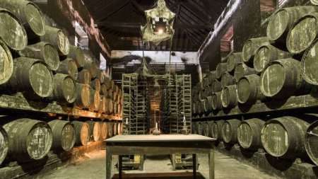 Téléchargez les photos : Rangée de tonneaux dans la cave à vin avec table et bougie dessus, Portugal timelapse - en image libre de droit