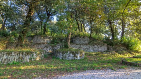 Téléchargez les photos : Timelapse Hyperlapse du parc Villa Doria Pamphili à Albano Laziale, Italie. Masquer à la lumière chaude parmi les arbres verts luxuriants, une oasis tranquille capturée en mouvement - en image libre de droit