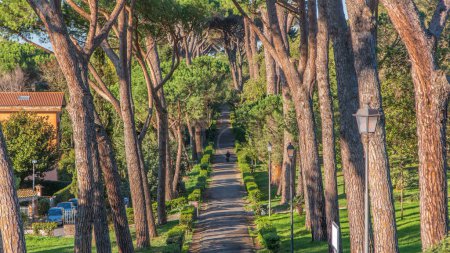 Téléchargez les photos : Timelapse du parc Villa Doria Pamphili à Albano Laziale, Italie. Embrassez la beauté des arbres verts et de la lumière chaude dans cette oasis italienne pittoresque - en image libre de droit