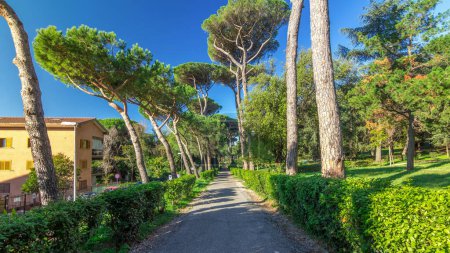 Bezaubernder Albano Laziale: Villa Doria Pamphili Park Timelapse Hyperlapse in Italien. Tauchen Sie ein in die Gelassenheit grüner Bäume und warmes Licht, ein fesselnder Tanz der Natur