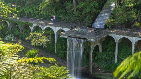 Foto de Cascada timelapse aéreo. Vistas desde lo alto de jardines tropicales con plantas y árboles verdes en Monte Palace, Funchal, Madeira, Portugal - Imagen libre de derechos