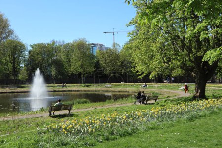 Foto de Diversas personas disfrutando del sol en el parque Beatrixpark en Ámsterdam, Holanda, con el Zuidas al fondo con una grúa y nuevos edificios de oficinas en construcción - Imagen libre de derechos