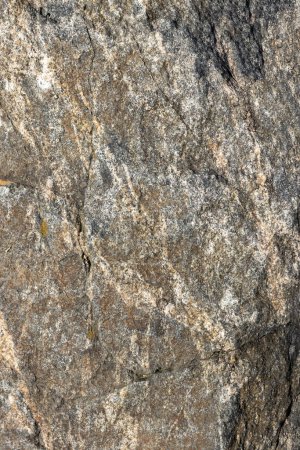 Photo for Texture of the stone. - Royalty Free Image