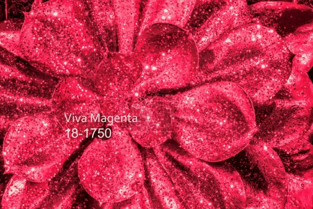 Téléchargez les photos : Beau fond des lignes d'une fleur succulente saupoudrée de paillettes et dans le ton de la couleur de l'année, rouge pourpre, équilibre entre chaud et frais, avec l'inscription Viva Magenta - en image libre de droit