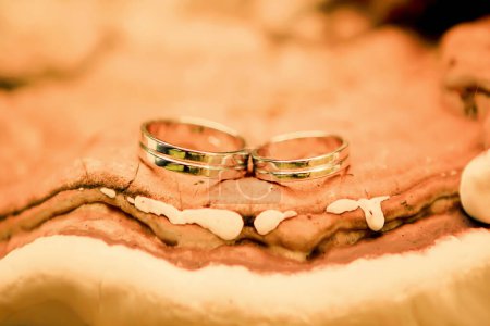 Foto de Hermosos dos anillos de boda se encuentran lujosamente en un soporte natural abstracto y se destacan en el color de moda 2024 oda al aplastamiento de albaricoque. Regalo para el Día de San Valentín - Imagen libre de derechos