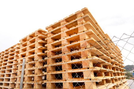 Pallets assembled from fresh sawn wood boards are stacked high on top of each other. Industrial production of pallets for transporting goods