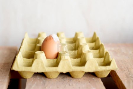 Egg with a feather in a cardboard paper transport tray, close-up. Packaging for eggs for Easter. Egg shortage, protein shortage, empty storage, decreased supply