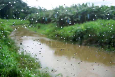 Ein Fluss mit Strömen schmutzigen Wassers, das tropische Bäume durch ein nasses Fenster mit Wassertropfen aus dem Regen überflutet. Überschwemmungen bei tropischem Regen.