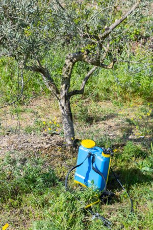 Pulvérisateur d'herbicide près d'un olivier dans un champ d'oliviers. Bargota, Navarre, Espagne, Europe.