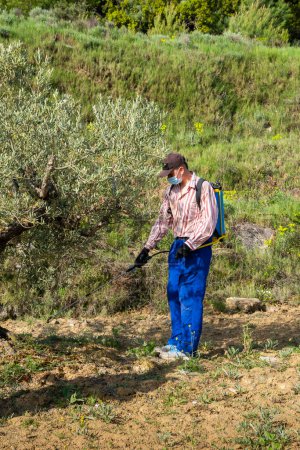 Jeune agriculteur pulvérisant de l'herbicide dans un champ d'oliviers. Bargota, Navarre, Espagne, Europe.