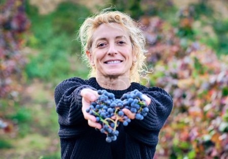 Téléchargez les photos : Jeune agricultrice mûre et blonde dans une ferme viticole avec un bouquet de raisins. Iguzkiza, Navarre, Espagne, Europe. - en image libre de droit