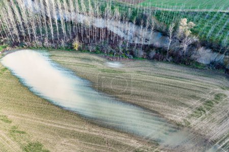 Vista aérea de un campo inundado cerca de una arboleda de álamo. Murieta, Navarra, España, Europa.