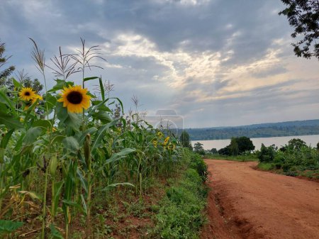 Téléchargez les photos : Photos de paysages magnifiques et magnifiques dans plusieurs villes du Rwanda - en image libre de droit