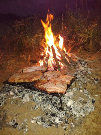 Argentine Asado, elaboration and preparation of an Argentine food and custom.
